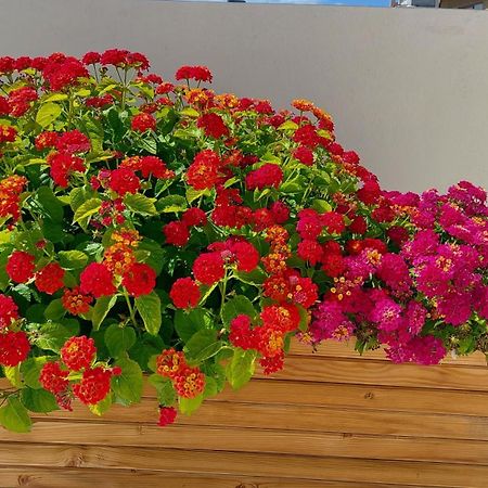 The Little Big Apartment In The Heart Of Heraklion Экстерьер фото