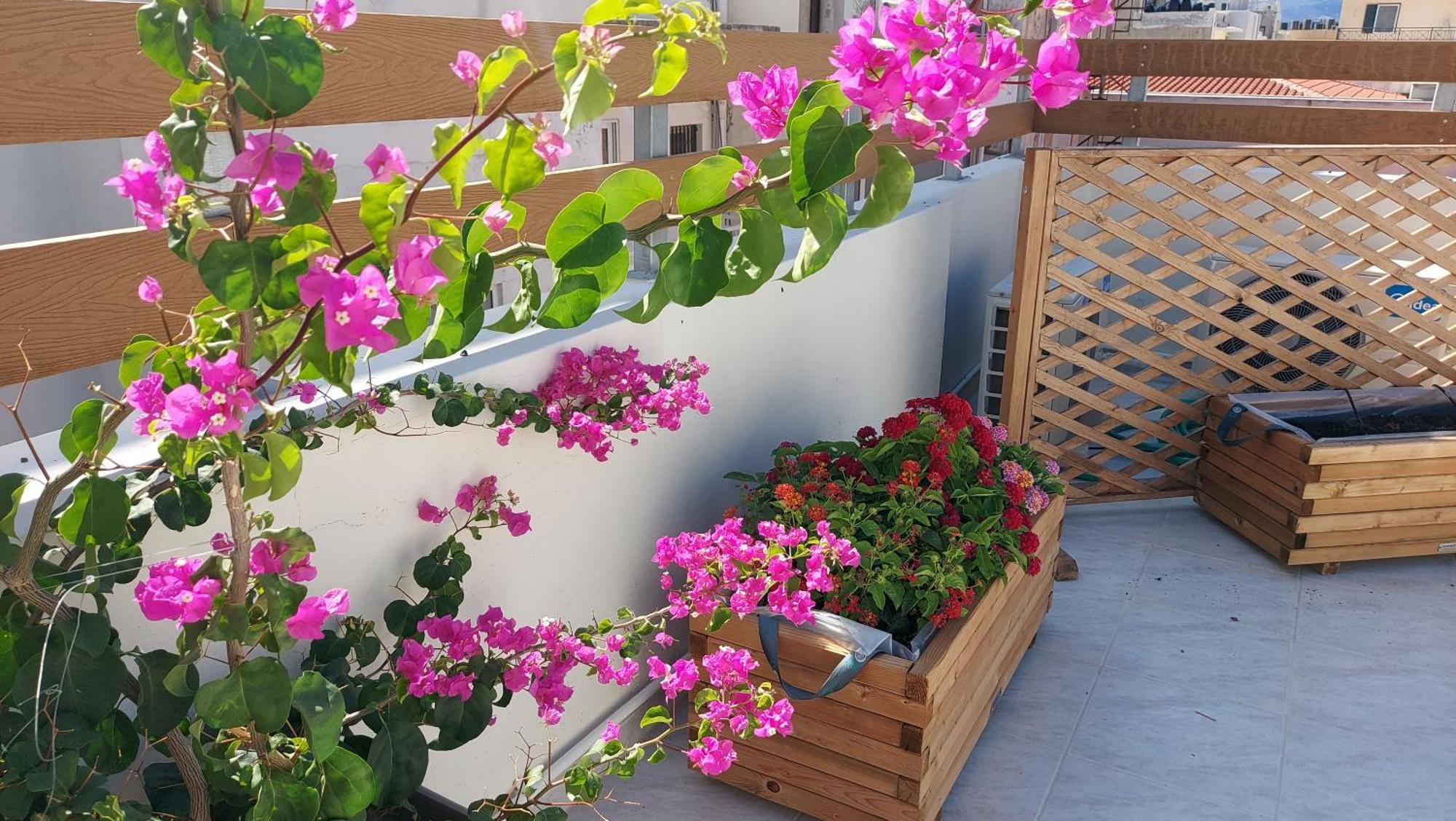 The Little Big Apartment In The Heart Of Heraklion Экстерьер фото