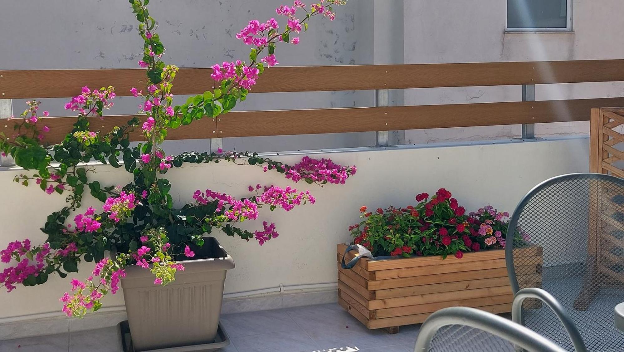The Little Big Apartment In The Heart Of Heraklion Экстерьер фото